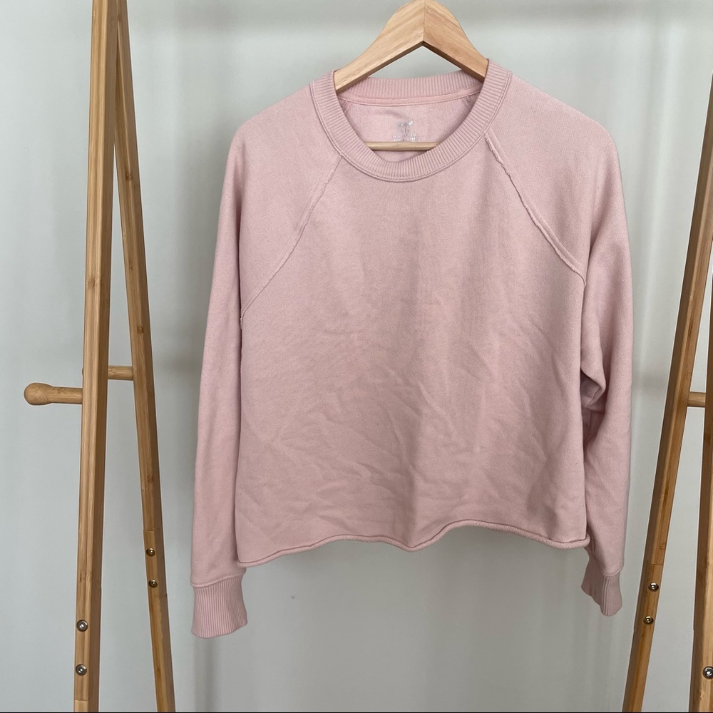 aerie crewneck sweatshirt